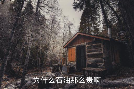 石油為什么這貴，石油為何那么貴