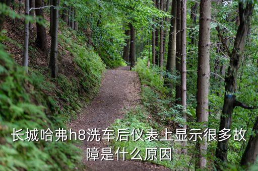 長(zhǎng)城哈弗h8洗車(chē)后儀表上顯示很多故障是什么原因