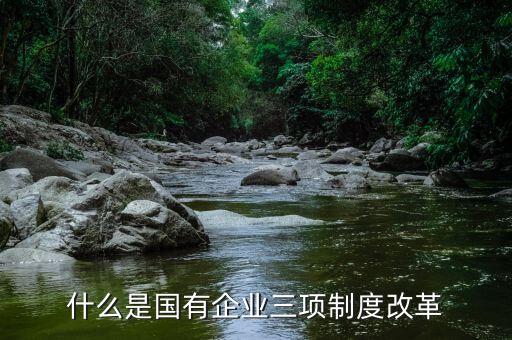 新鋼公司三項制度改革是什么，什么是國有企業(yè)三項制度改革
