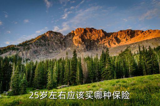 25歲買什么保險好，25歲買什么保險最劃算