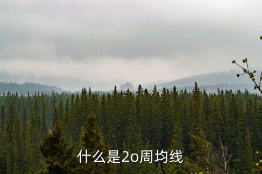 什么是20周均線，想問一下股票大盤20周均線是什么點位