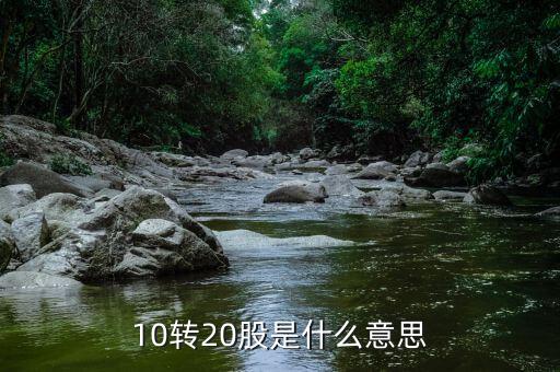 10轉(zhuǎn)增20是什么意思，股票 10派2轉(zhuǎn)增20是什么意思