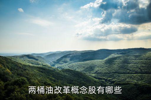 石油濟柴為什么st，兩桶油改革概念股有哪些