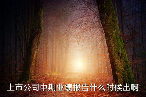 中報(bào)業(yè)績(jī)最晚什么時(shí)間公布，規(guī)定股票中報(bào)什么時(shí)候出
