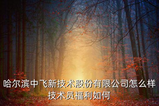 中飛股份公司做什么的，哈爾濱中飛新技術(shù)股份有限公司怎么樣技術(shù)員福利如何