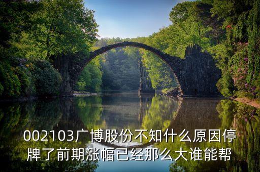 廣博股份什么時(shí)候復(fù)牌，002103廣博股份不知什么原因停牌了前期漲幅已經(jīng)那么大誰能幫