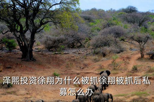 徐翔為什么會被抓，澤熙投資徐翔為什么被抓徐翔被抓后私募怎么辦