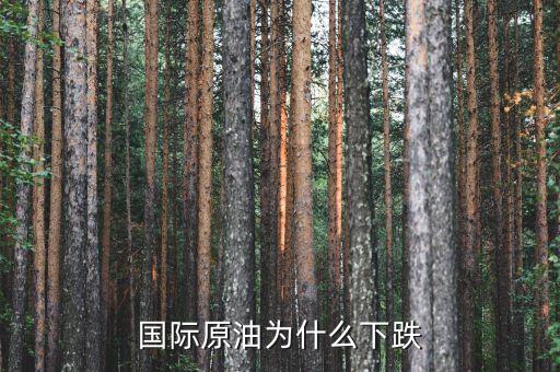 國際原油為什么暴跌，造成國際油價下跌的因素有哪些