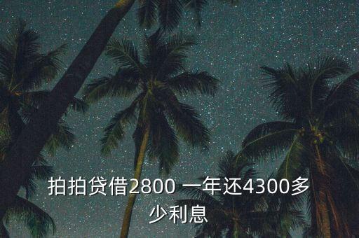 什么是拍拍貸，拍拍貸借2800 一年還4300多少利息