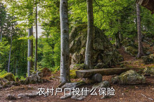 農(nóng)村買的保險(xiǎn)是什么保險(xiǎn)，農(nóng)民需要買什么保險(xiǎn)