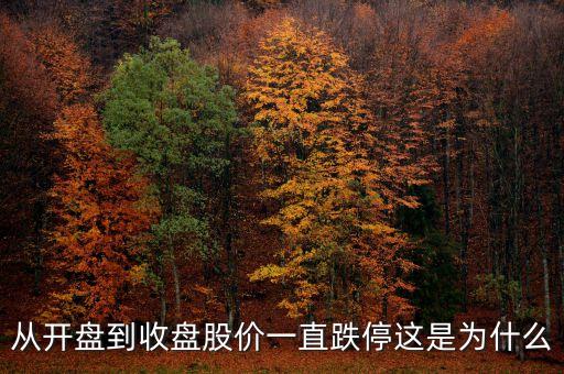 為什么開盤就跌停，從開盤到收盤股價(jià)一直跌停這是為什么