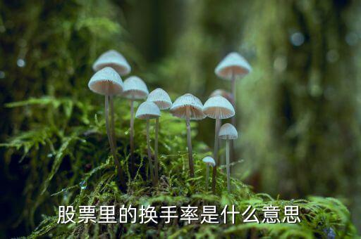 股票中換手率什么意思，股票里面的換手率是什么意思