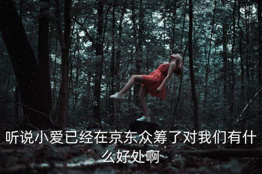 京東jimi機器人有什么作用，jimi 是什么意思