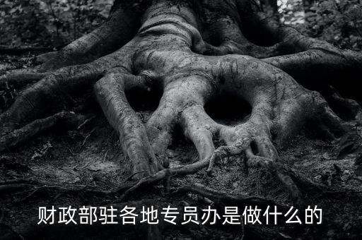 財(cái)專辦是什么，財(cái)政部駐各地專員辦是做什么的