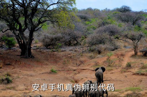 三星夢(mèng)想課堂是什么，權(quán)相宇的檔案資料