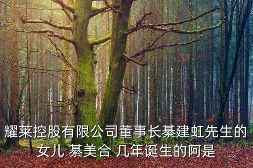 耀萊集團董事長姓什么，武漢耀萊成龍國際影城老板是成龍嗎