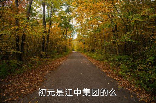 江中集團(tuán)有什么保健品，初元是江中集團(tuán)的么