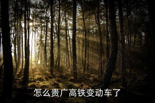 高鐵什么時(shí)候變動(dòng)車，怎么貴廣高鐵變動(dòng)車了