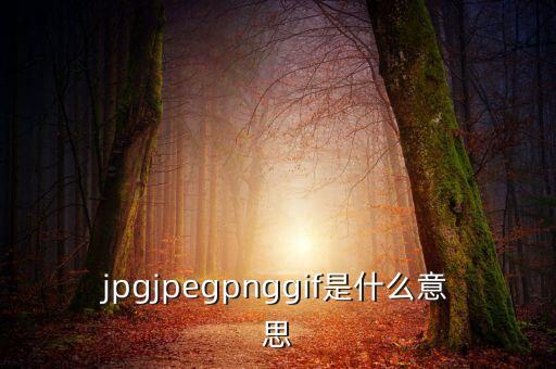 什么是代價(jià)比率，JPG文件會(huì)有病毒嗎