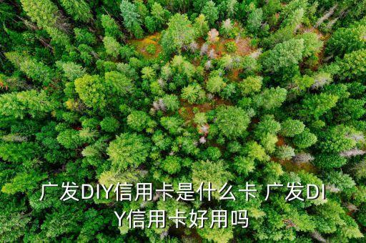 什么是diy信用卡，廣發(fā)DIY信用卡是什么卡 廣發(fā)DIY信用卡好用嗎