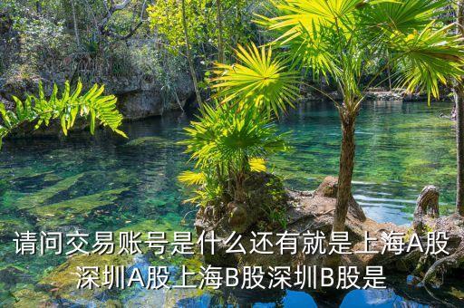 股東賬號(hào)是什么，請(qǐng)問交易賬號(hào)是什么還有就是上海A股深圳A股上海B股深圳B股是