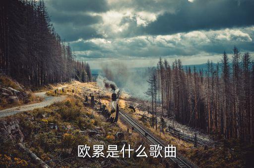 歐累歐累歐累是什么dj，溜冰場歐累歐累歐累是什么歌