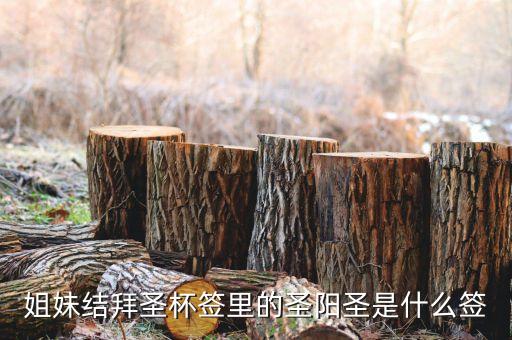 圣陽(yáng)圣屬什么簽，天災(zāi)禍不除我去拜佛了請(qǐng)問(wèn)下這只簽是什么意思啊好