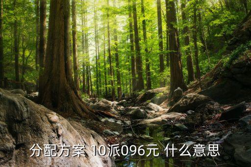 南方軸承分配方案是什么，分配方案 10派096元 什么意思