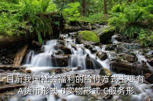 我國(guó)是什么福利型模式，目前我國(guó)社會(huì)福利的給付方式主要有 A貨幣形式 B實(shí)物形式 C服務(wù)形