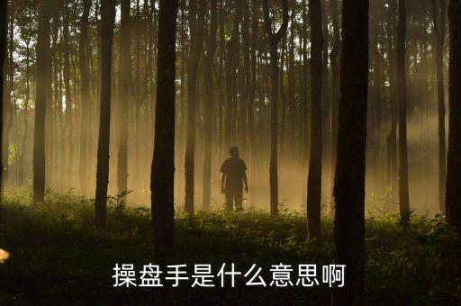 股票里操盤手聯(lián)盟是什么意思，有哪位高人可以給我詳細解釋下操盤手是什么意思