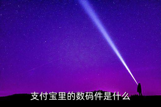 支付寶機(jī)具是什么，支付寶里的數(shù)碼件是什么
