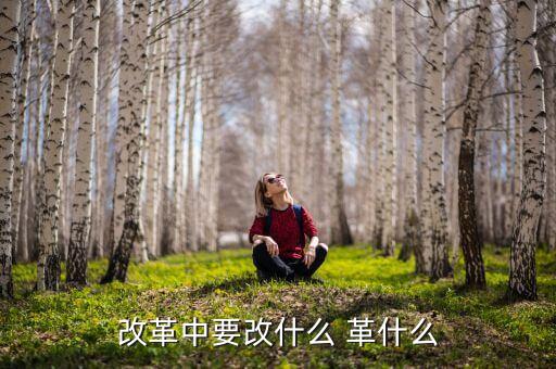 你認為我國改革的重心應(yīng)是什么改，我國改革的任務(wù)決定了改革應(yīng)是 A 經(jīng)濟體制的改革 B 政治體制的改革