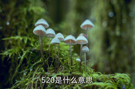 什么是1浪5，江恩數(shù)浪法則如何劃分五浪