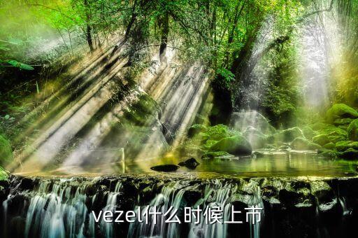 維珍妮集團(tuán)什么時(shí)候上市，vezel什么時(shí)候上市