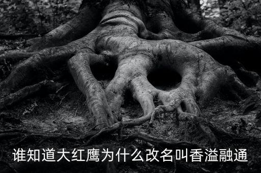 為什么買香溢融通，買當(dāng)代歌壇看到一個被稱為實(shí)偶派的歌手 饒威求科普