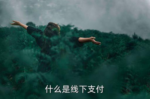 什么是線上線下支付，什么是線下支付
