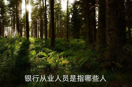 銀行從業(yè)人員是什么，我在銀行從業(yè)資格證里面看到一個(gè)銀行從業(yè)人員和銀行非從業(yè)人員