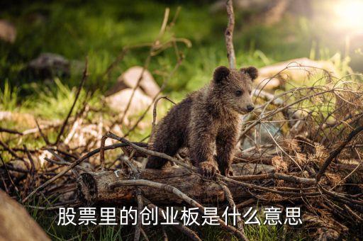 股票創(chuàng)業(yè)板什么意思，股票中的創(chuàng)業(yè)板是什么意思