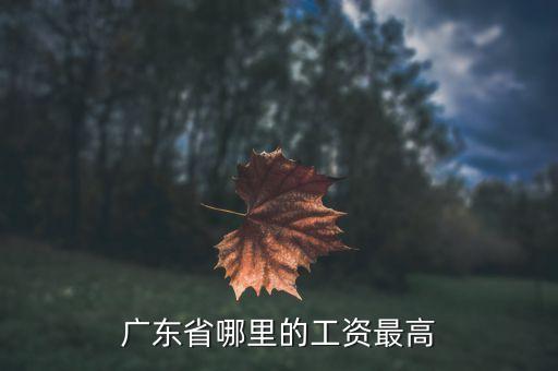 廣東工資最高什么地方，廣東什么地方打工工資最高