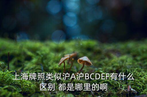 上海市政府牌照是滬什么，上海的車牌是滬還是浦