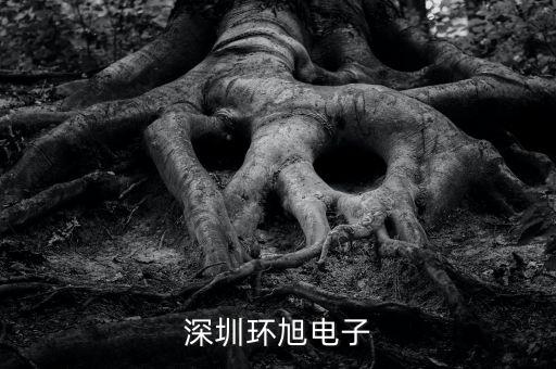 環(huán)旭電子經營什么，上海環(huán)旭電子有限公司在什么地方
