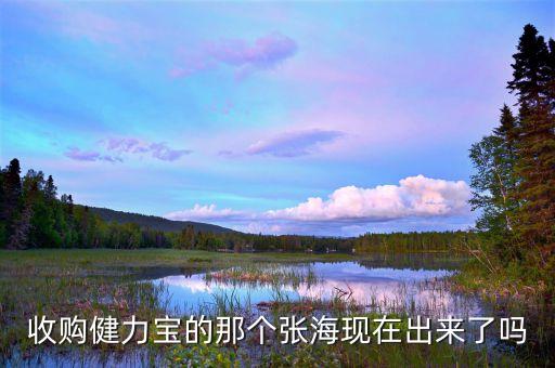 健力寶什么時(shí)候賣給張海，收購健力寶的那個張?，F(xiàn)在出來了嗎