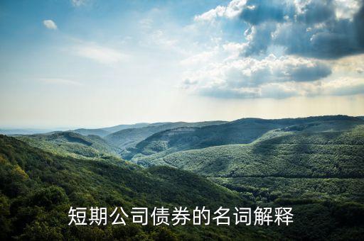 什么叫銀行短期債券，我國銀行的短期借入債市場是什么呢謝謝回答