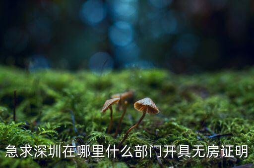 坪山國(guó)土局在什么地方，深圳哪座山比較有趣