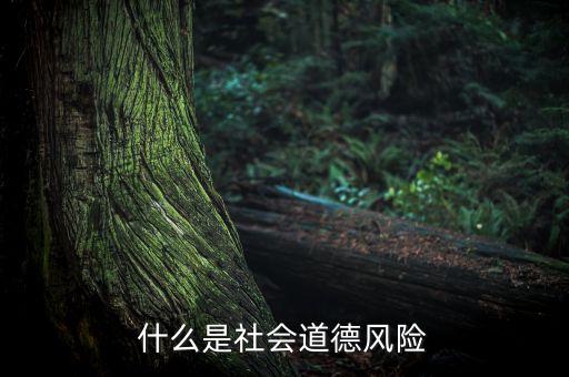 什么是社會(huì)風(fēng)險(xiǎn)，什么是社會(huì)道德風(fēng)險(xiǎn)