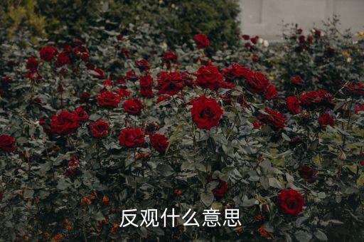 反觀當下是什么意思，求英語大神翻譯反觀當下
