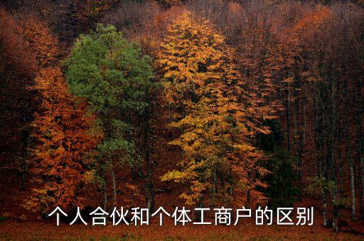 個人合伙領(lǐng)取什么經(jīng)營執(zhí)照，個人合伙辦理個體工商戶執(zhí)照