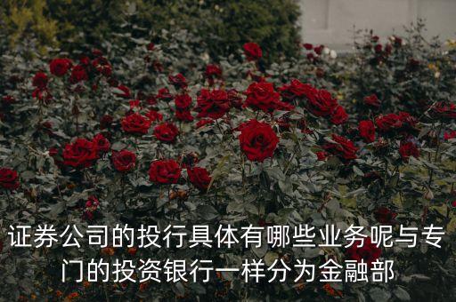 國內(nèi)券商投行部在做什么，國有四大行的投行部在做什么