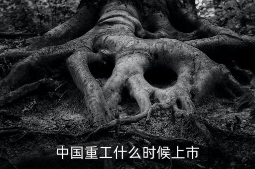中國重工什么時候增發(fā)，中國重工上市時間