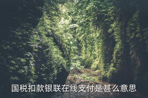 銀聯(lián)劃扣跟連連支付有什么區(qū)別，國稅扣款銀聯(lián)在線支付是甚么意思